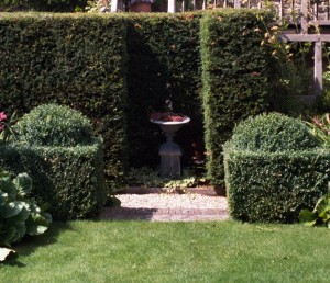 Yew hedge at Warwick