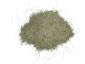 Grass seed