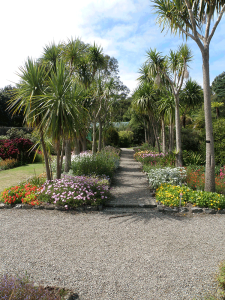 Garden-detail-at-Logan-Botanic-Garden