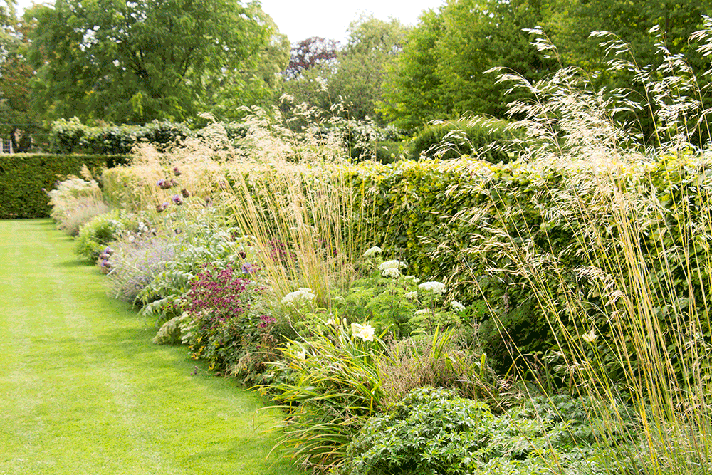 Border detail in the walled garden at Scampston Hall