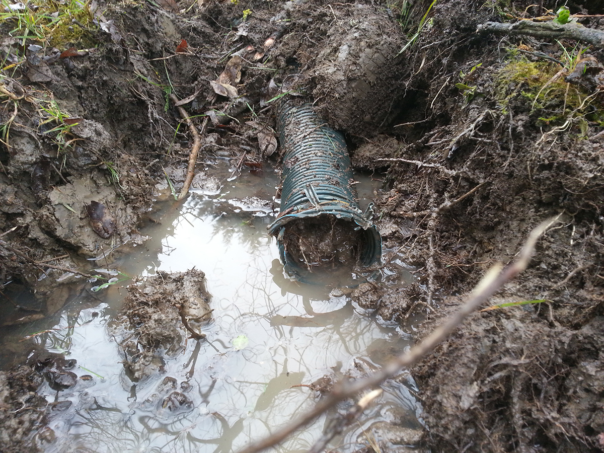 To drain or not to drain that is the question.