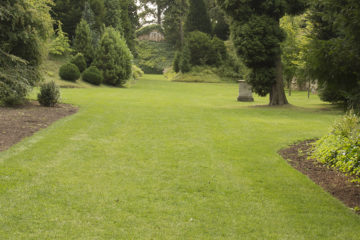 Turfing a lawn