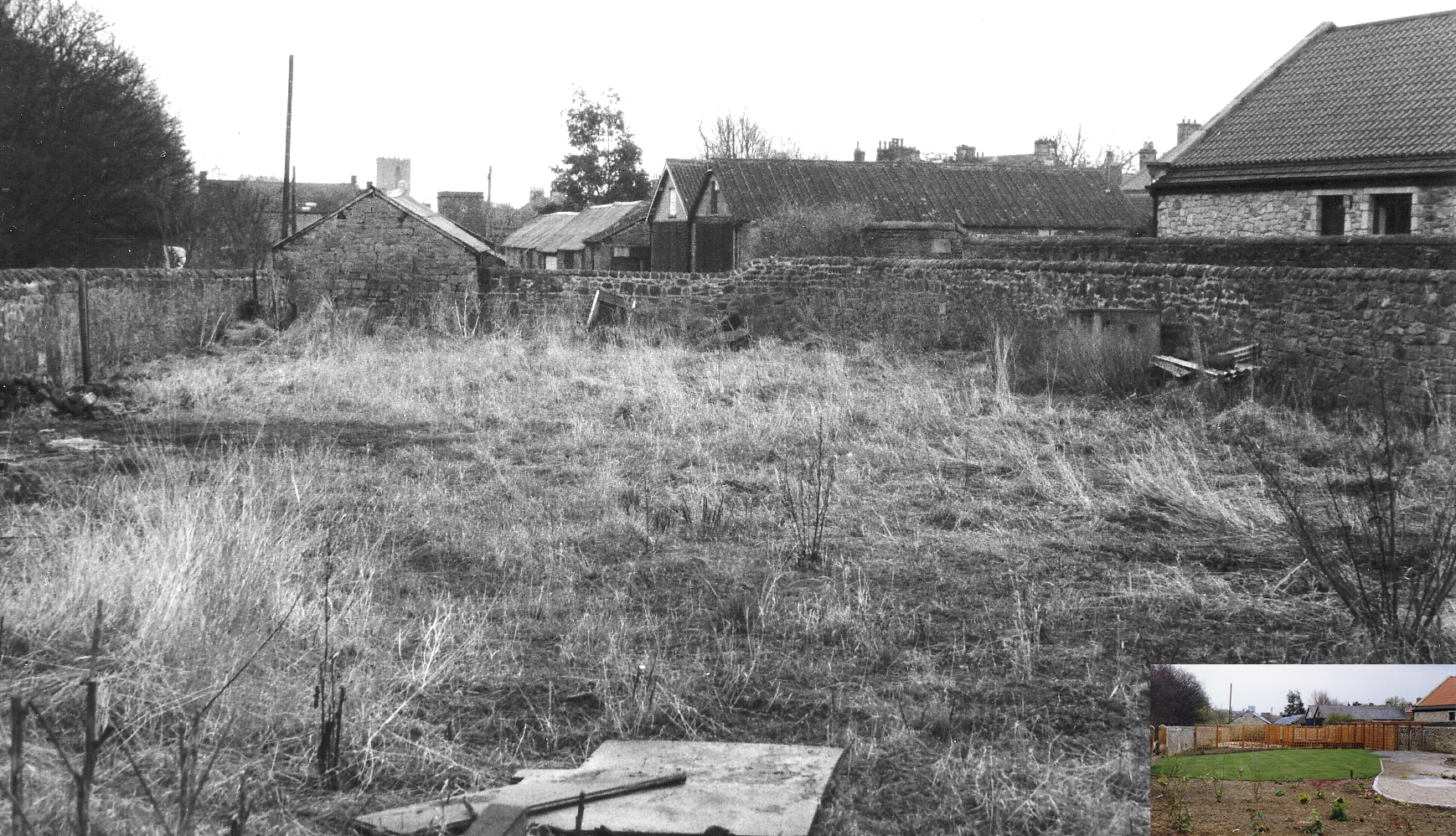 What to put in the garden