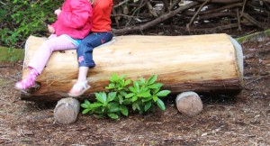 Log car