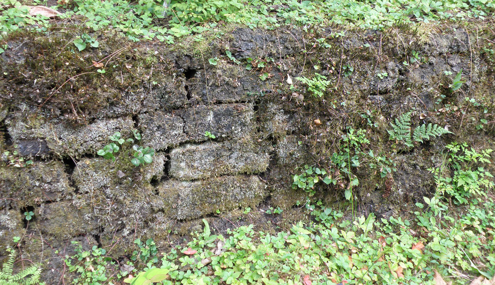 Peat block wall