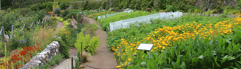 Vegetable garden detail at Inverewe Garden