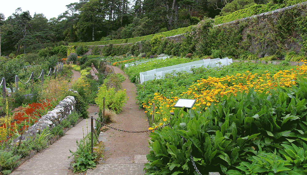Inverewe Garden