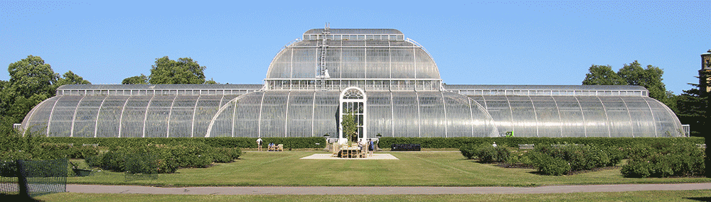 The Palm House Kew Gardens