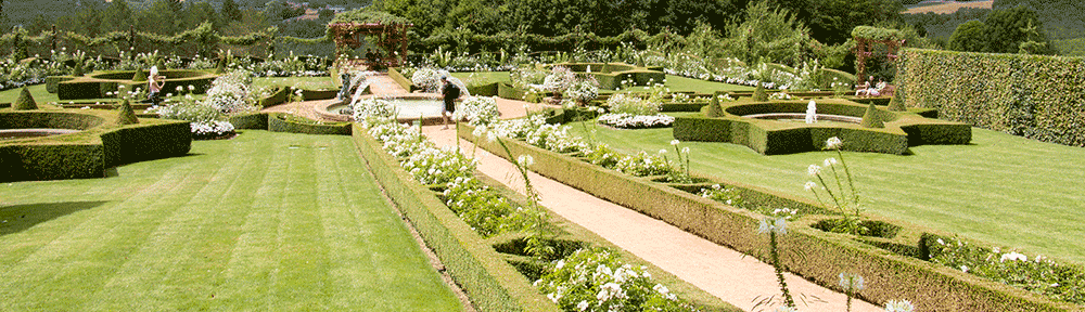 The white garden at les Jardins du Manoir d’Eyrignac