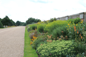 Planting detail at Hampton Court