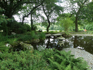 Japanese-garden-detail-at-Pine-Lodge-garden