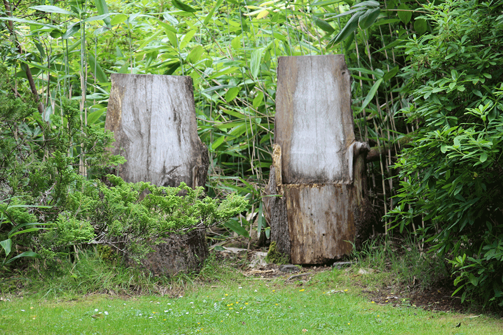 Leckmelm Shrubbery and Arboretum