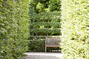 Hedging at Chateau de Losse