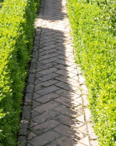 Brick path detail
