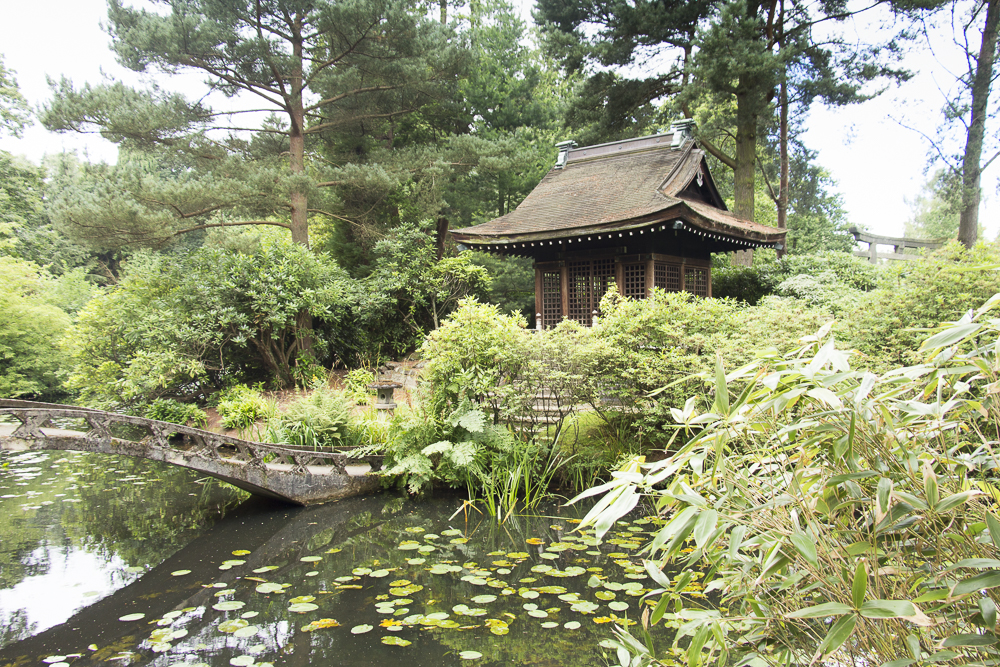 The Japanese Garden at Tatton Park