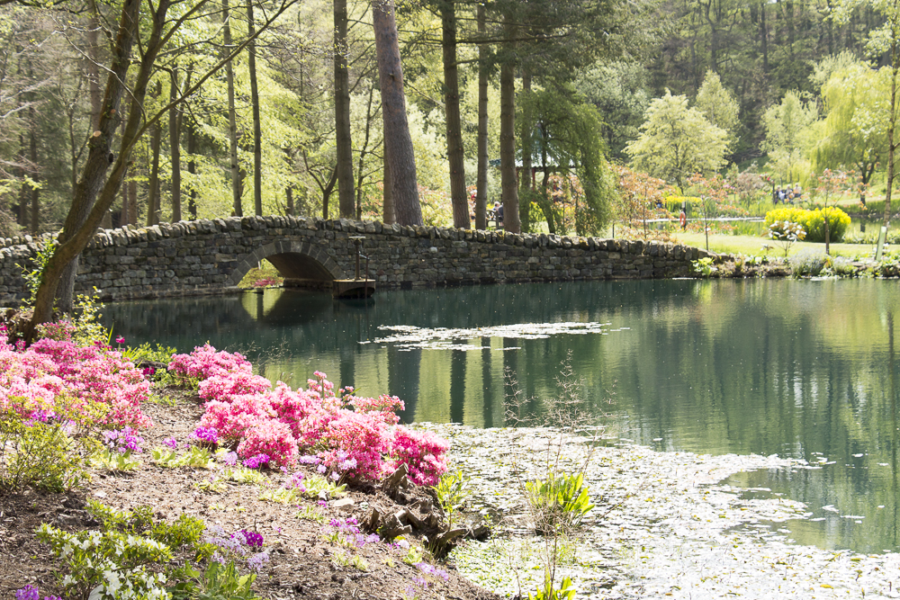 The Himalayan Garden & Sculpture Park
