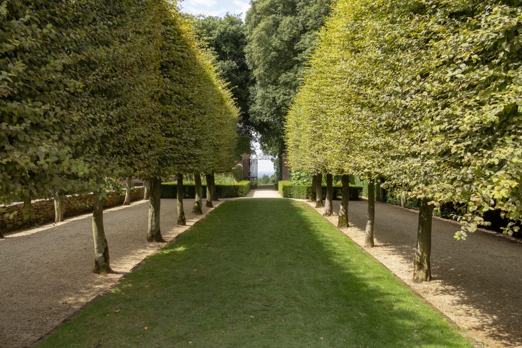 The Stilt Garden at Hidcote Manor