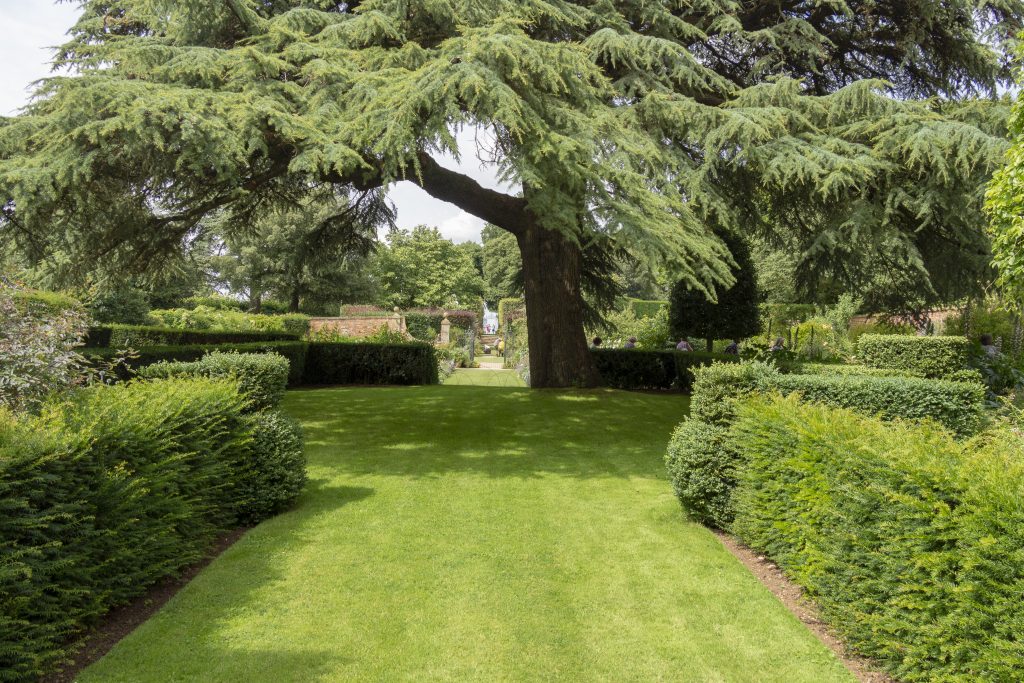 View from the house up to the stilt garden at Hidcote Manor