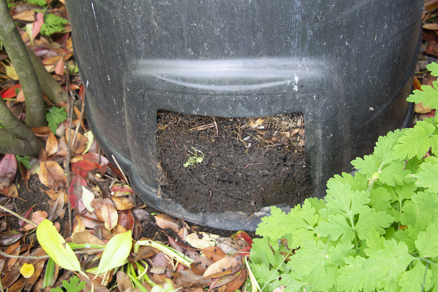 Making garden compost