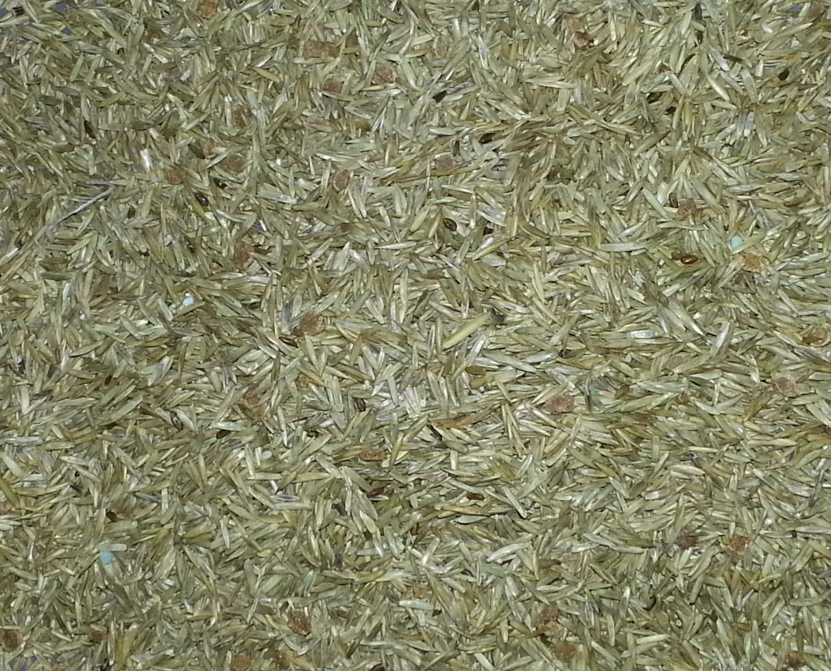 The great grass seed swindle!